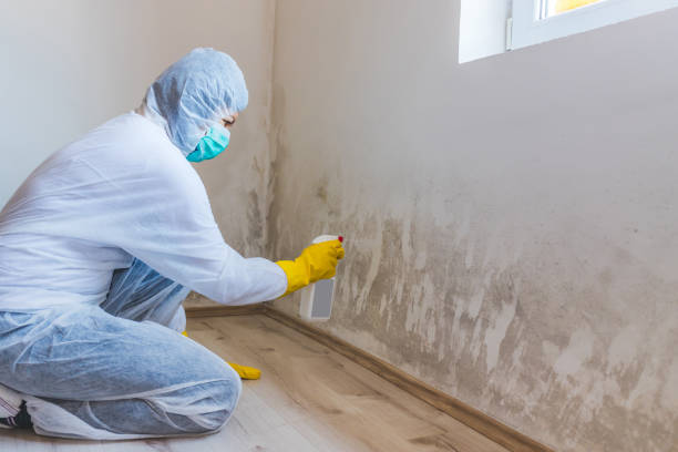Licensed Crawl Space Mold Removal service in Bernardsville, NJ - WQB Mold Removal