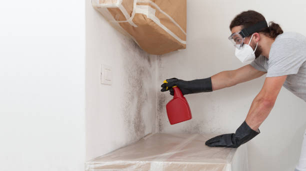 Professional Crawl Space Mold Removal technician working in Bernardsville, NJ