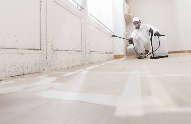 24/7 Emergency Crawl Space Mold Removal experts in Bernardsville, NJ