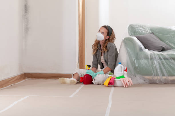 Reliable Crawl Space Mold Removal contractor in Bernardsville, NJ by WQB Mold Removal