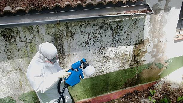 Top rated local Crawl Space Mold Removal specialists in Bernardsville, NJ